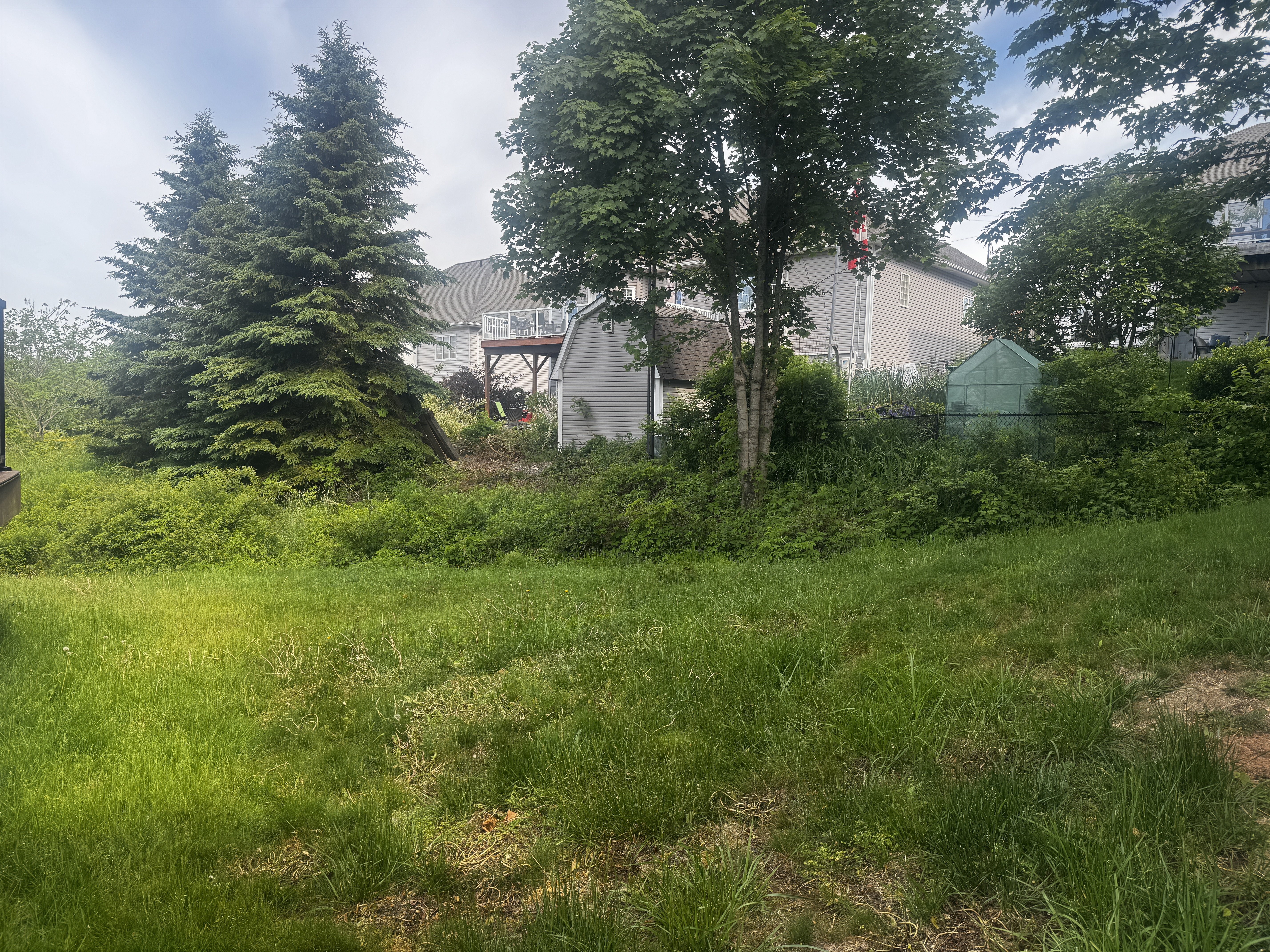 Site before excavation and grading